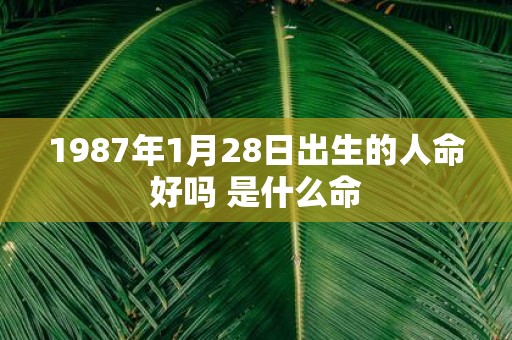 1987年1月28日出生的人命好吗 是什么命