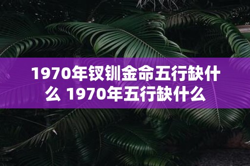 1970年钗钏金命五行缺什么 1970年五行缺什么