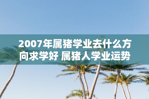 2007年属猪学业去什么方向求学好 属猪人学业运势怎样