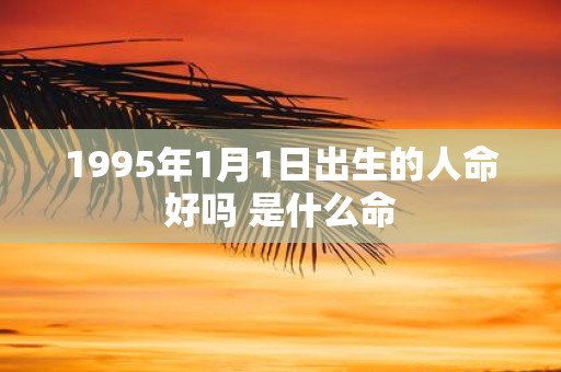 1995年1月1日出生的人命好吗 是什么命