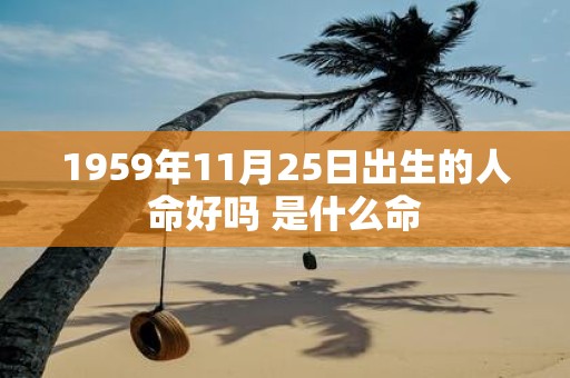 1959年11月25日出生的人命好吗 是什么命