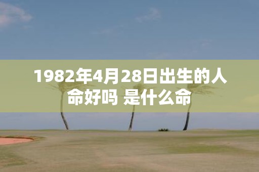 1982年4月28日出生的人命好吗 是什么命