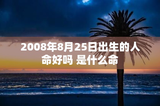 2008年8月25日出生的人命好吗 是什么命