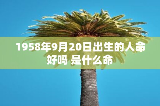 1958年9月20日出生的人命好吗 是什么命
