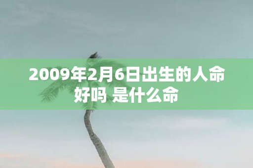 2009年2月6日出生的人命好吗 是什么命