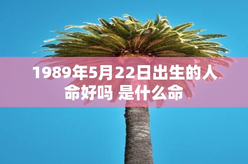 1989年5月22日出生的人命好吗 是什么命