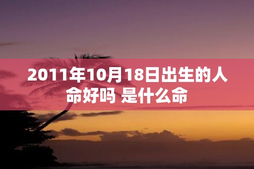 2011年10月18日出生的人命好吗 是什么命