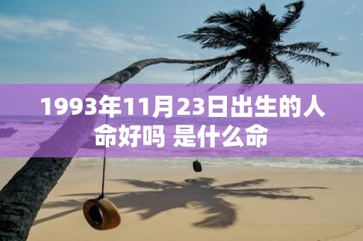 1993年11月23日出生的人命好吗 是什么命