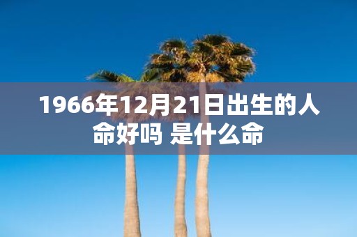 1966年12月21日出生的人命好吗 是什么命