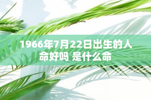 1966年7月22日出生的人命好吗 是什么命
