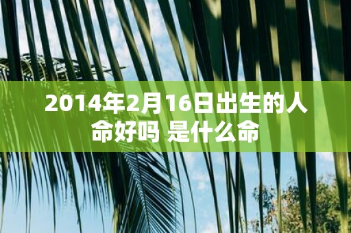 2014年2月16日出生的人命好吗 是什么命