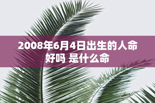 2008年6月4日出生的人命好吗 是什么命