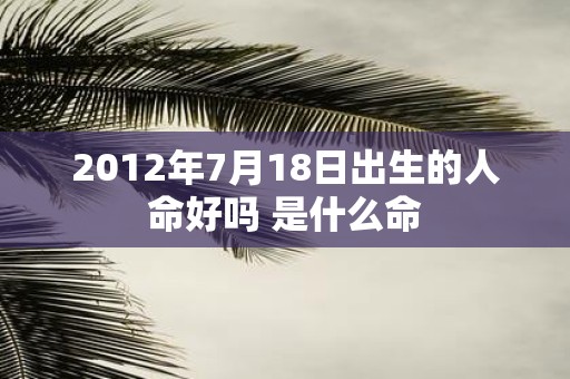 2012年7月18日出生的人命好吗 是什么命
