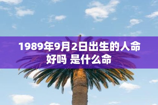 1989年9月2日出生的人命好吗 是什么命