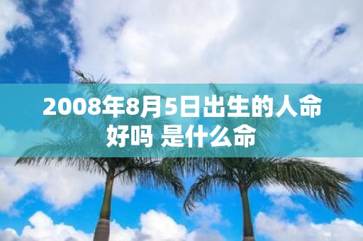 2008年8月5日出生的人命好吗 是什么命