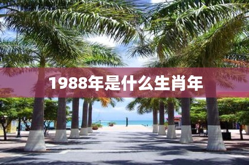 1988年是什么生肖年