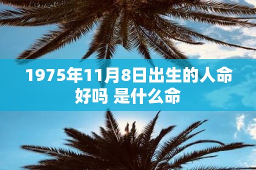 1975年11月8日出生的人命好吗 是什么命