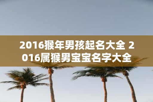 2016猴年男孩起名大全 2016属猴男宝宝名字大全