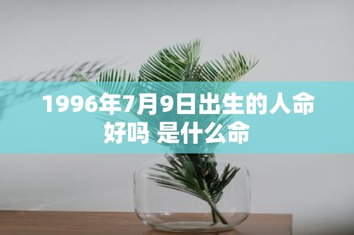 1996年7月9日出生的人命好吗 是什么命