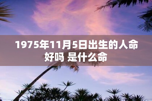 1975年11月5日出生的人命好吗 是什么命