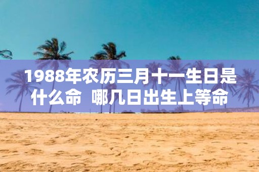 1988年农历三月十一生日是什么命 哪几日出生上等命