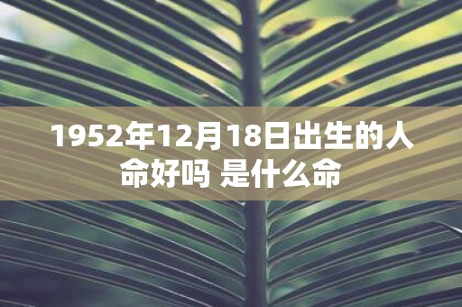 1952年12月18日出生的人命好吗 是什么命