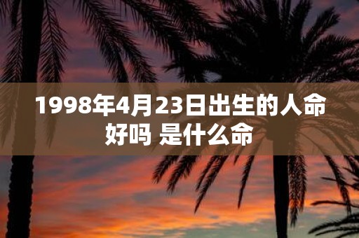 1998年4月23日出生的人命好吗 是什么命