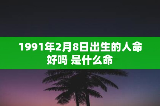1991年2月8日出生的人命好吗 是什么命