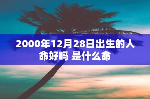 2000年12月28日出生的人命好吗 是什么命