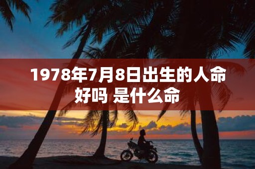 1978年7月8日出生的人命好吗 是什么命
