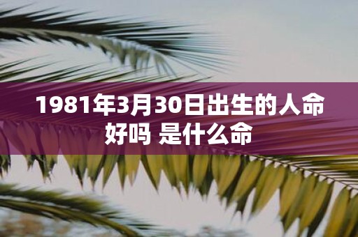 1981年3月30日出生的人命好吗 是什么命