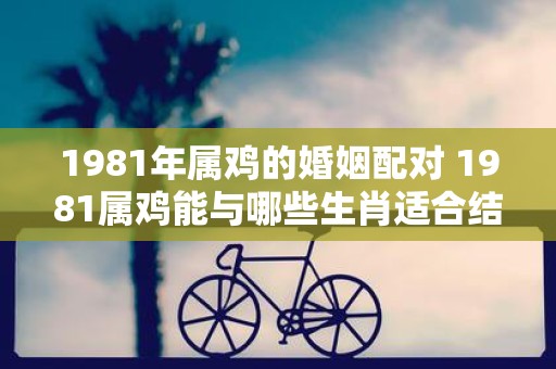 1981年属鸡的婚姻配对 1981属鸡能与哪些生肖适合结婚