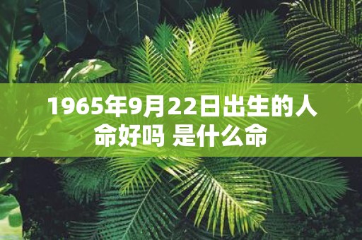1965年9月22日出生的人命好吗 是什么命