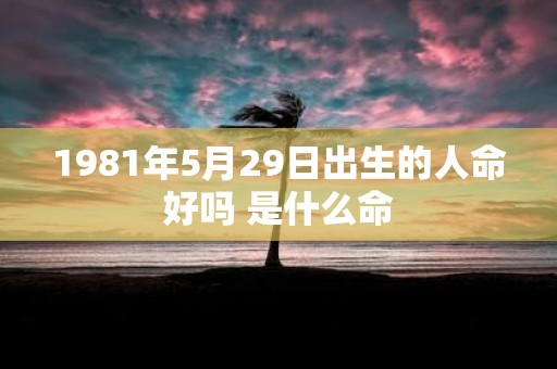 1981年5月29日出生的人命好吗 是什么命