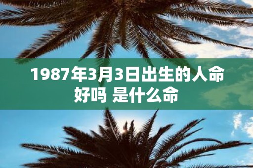 1987年3月3日出生的人命好吗 是什么命