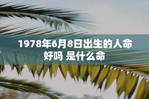 1978年6月8日出生的人命好吗 是什么命