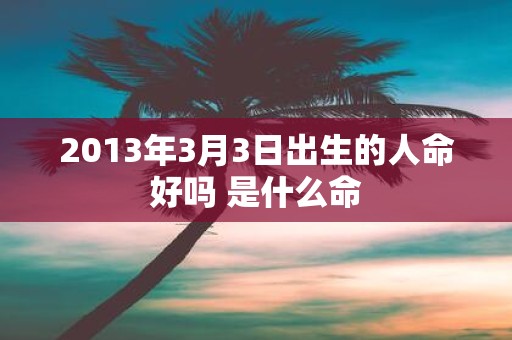 2013年3月3日出生的人命好吗 是什么命