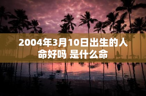 2004年3月10日出生的人命好吗 是什么命