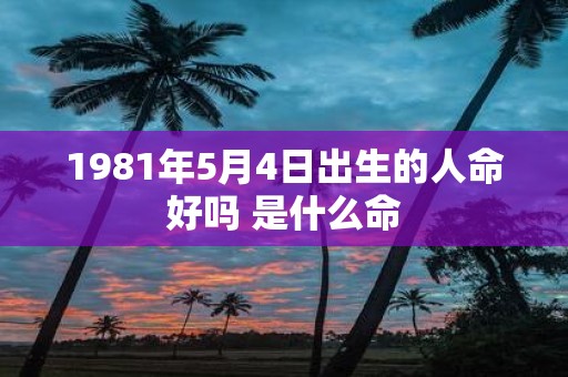 1981年5月4日出生的人命好吗 是什么命