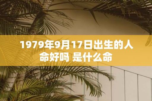 1979年9月17日出生的人命好吗 是什么命