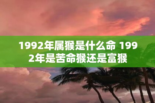 1992年属猴是什么命 1992年是苦命猴还是富猴