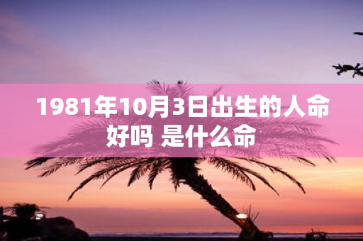 1981年10月3日出生的人命好吗 是什么命