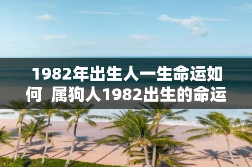 1982年出生人一生命运如何 属狗人1982出生的命运