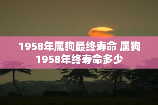 1958年属狗最终寿命 属狗1958年终寿命多少