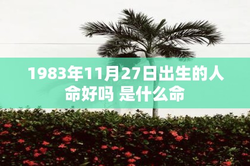 1983年11月27日出生的人命好吗 是什么命