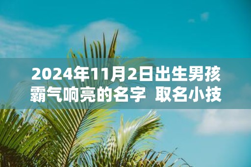 2025年11月2日出生男孩霸气响亮的名字 取名小技巧