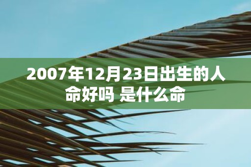 2007年12月23日出生的人命好吗 是什么命