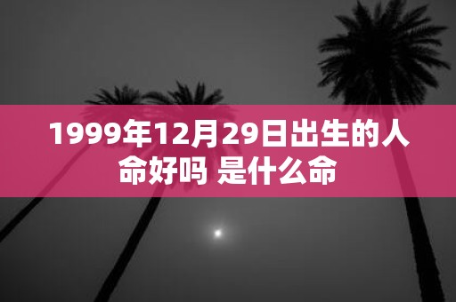 1999年12月29日出生的人命好吗 是什么命