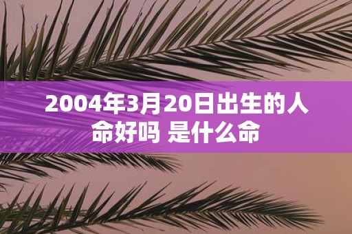 2004年3月20日出生的人命好吗 是什么命