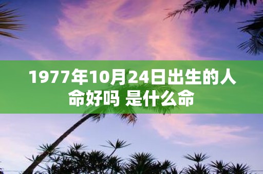 1977年10月24日出生的人命好吗 是什么命